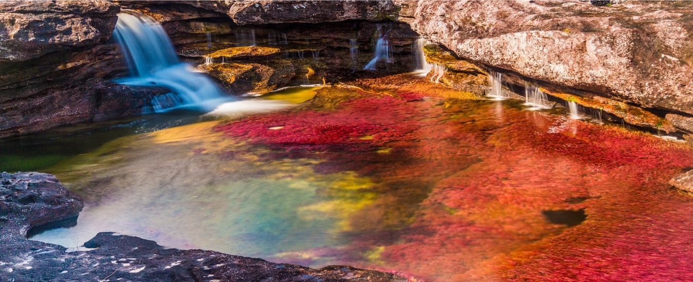 Viajes a Caño Cristales