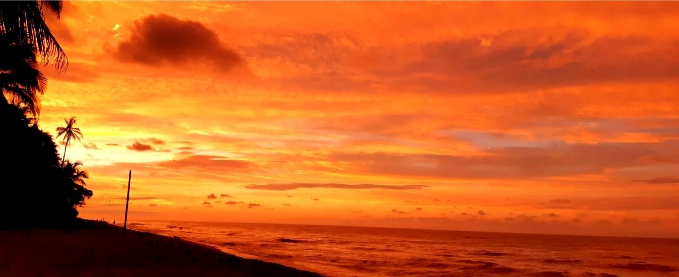Viajes a Palomino (Guajira)
