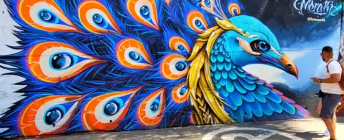 Tour del Graffiti en la Comuna 13 Medellín 
