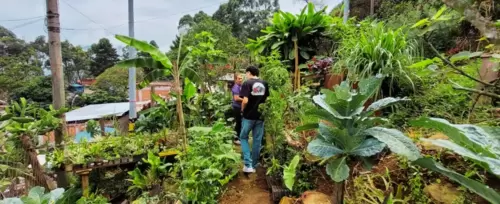 Tour Del Barrio a la Montaa <br>Comuna 3, Medelln