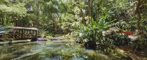 Aves y Biodiversidad: Jardn Botnico de Jeric