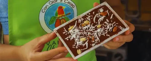Tour del Cacao en San Rafael: Sabor y Tradicin Artesanal