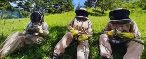 Amaranto Amor y Miel - Corregimiento Palmitas, Medelln