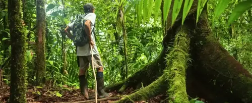 Plan con tiquete areo hotel La Chocoana Nuqu - 2025