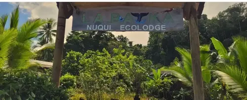 Plan avistamiento de ballenas en el hotel La Bayka Nuqu - 2025