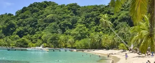 Plan con tiquete areo al Hotel Mares - Capurgan 2025