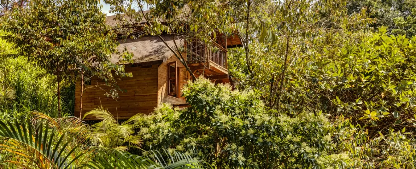 Suite Lago Manantiales del Campo