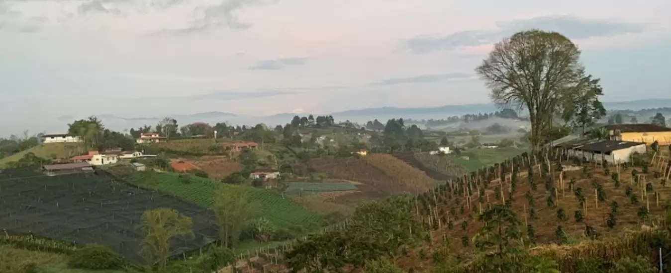 El Carmen de Viboral y experiencia ceramista