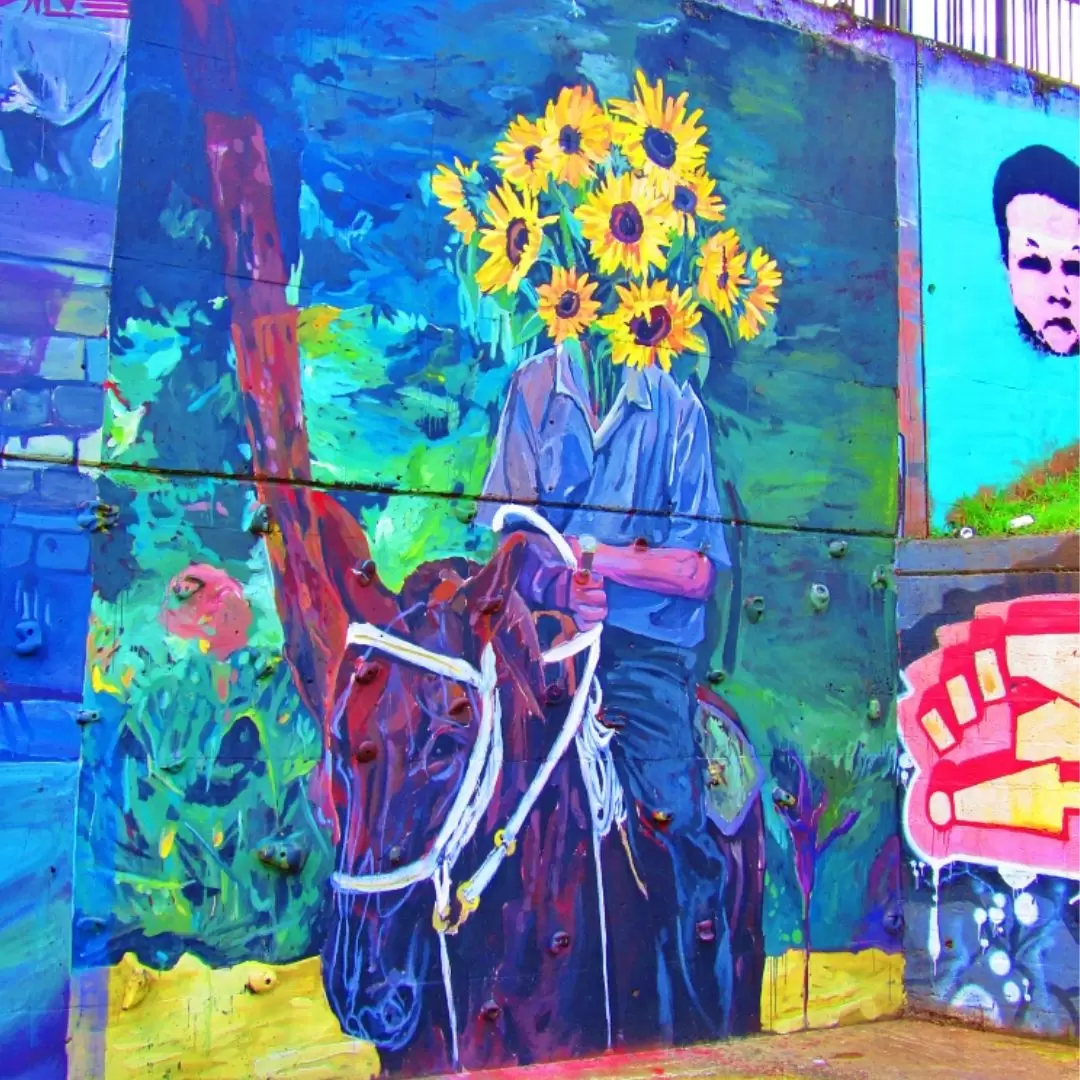 Tour por Medellín