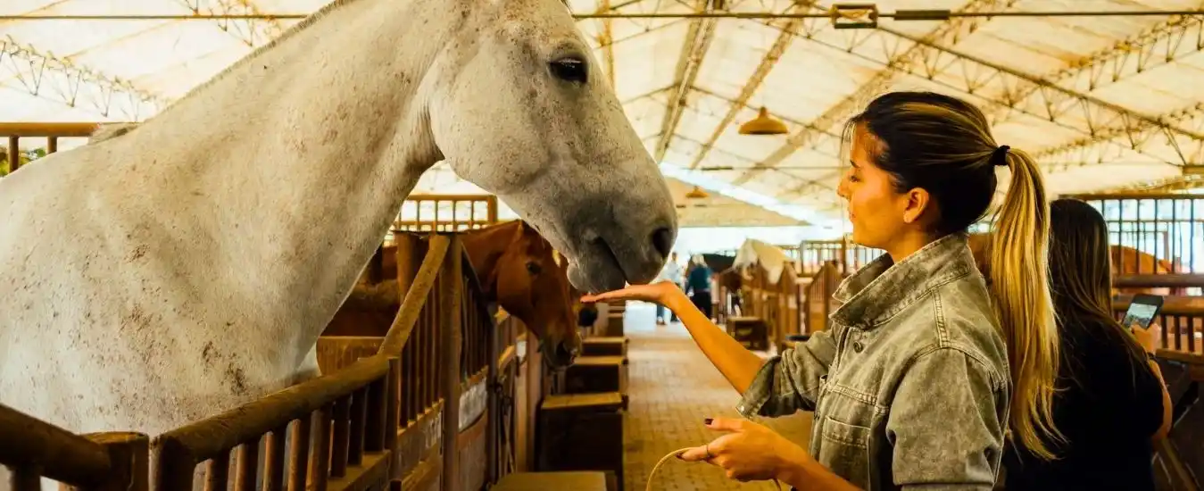 Turismo Comunitario Medellín