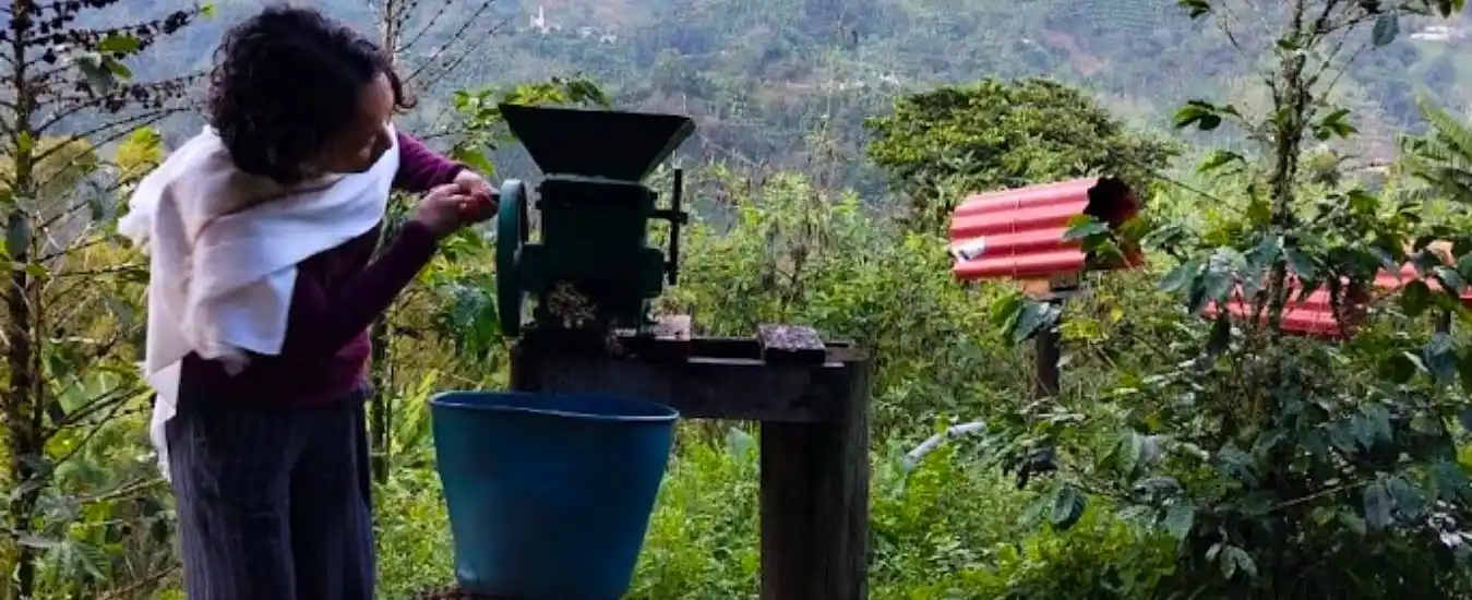  Tour Cafetero Jardin