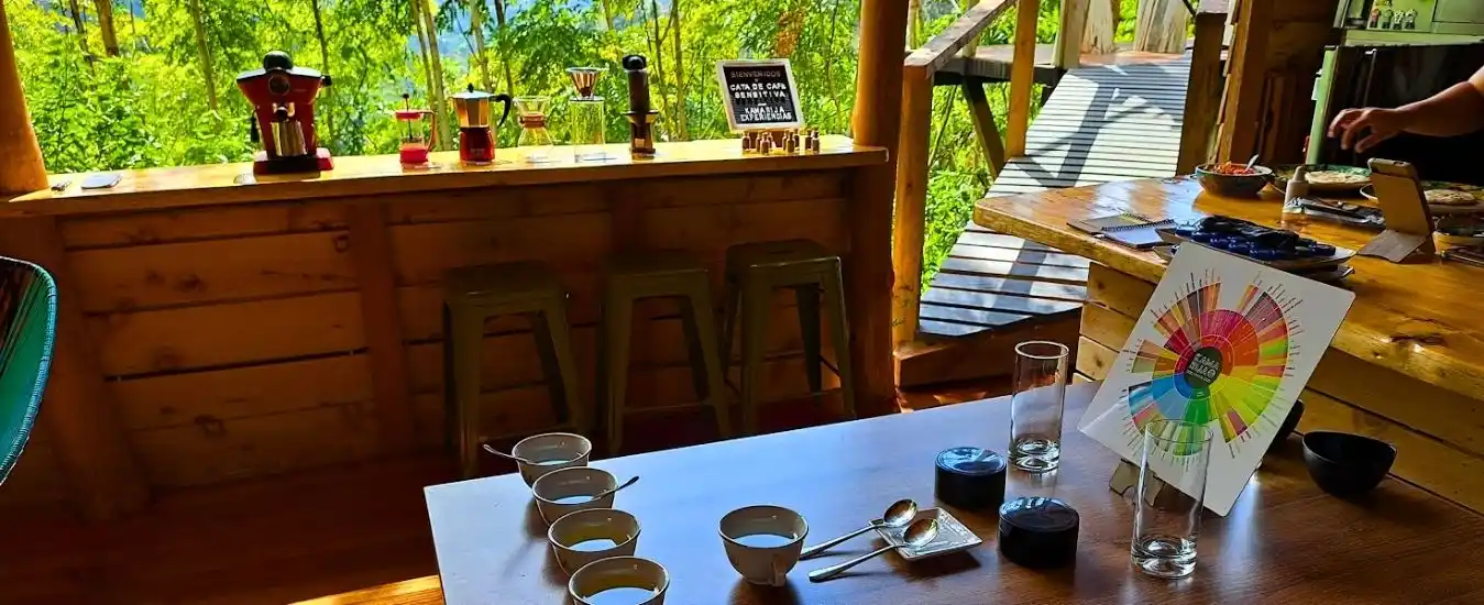 Cafe en Jardin