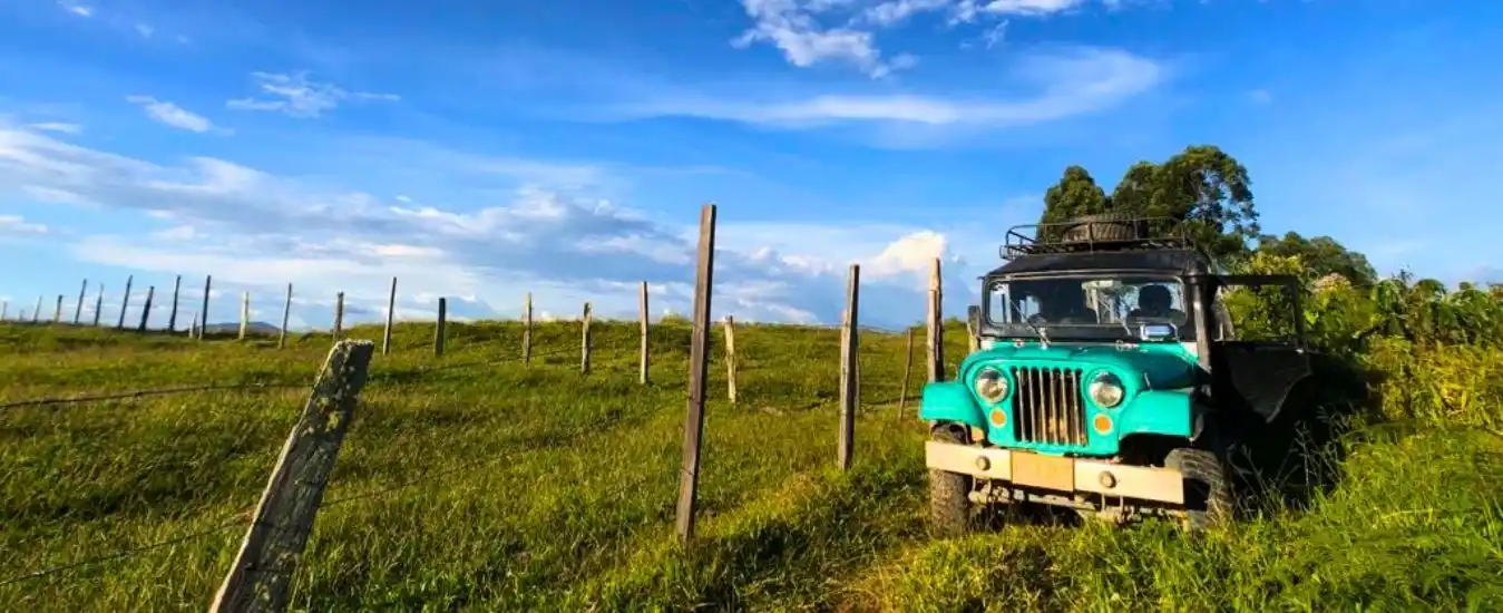 Tour Cafe La Manchuria