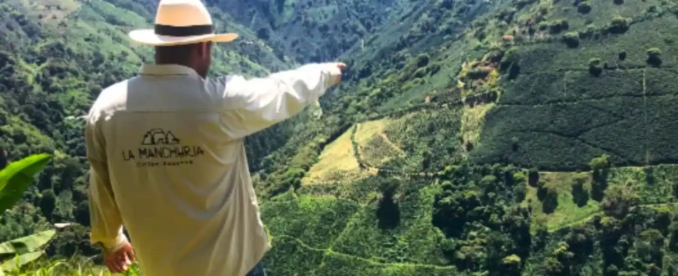 Turismo Cafe La Manchuria