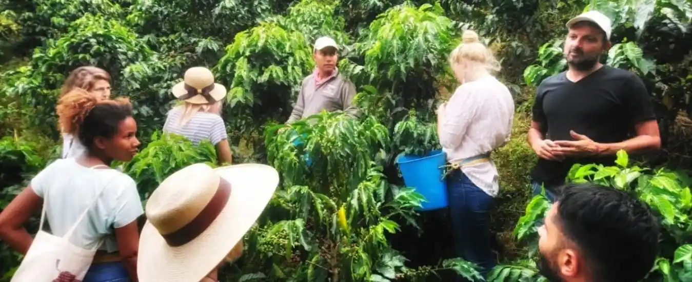 Tour Cafe La Manchuria