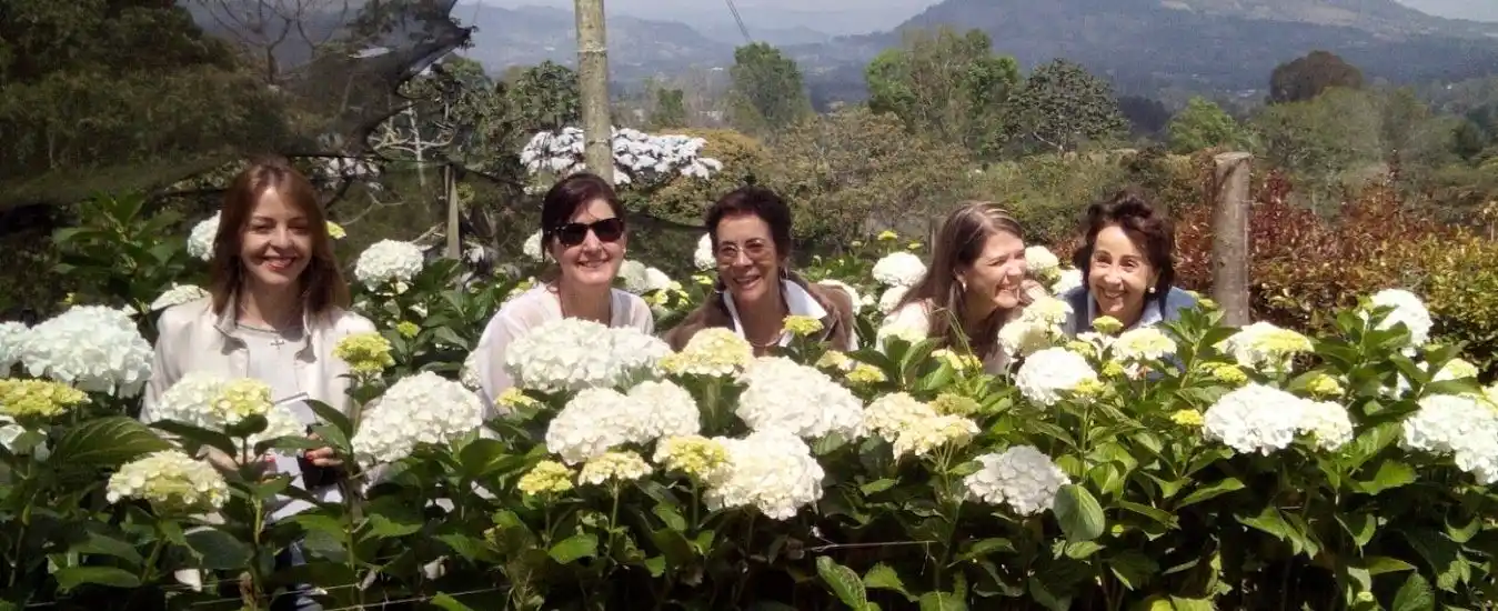 Tour de las Hortensias