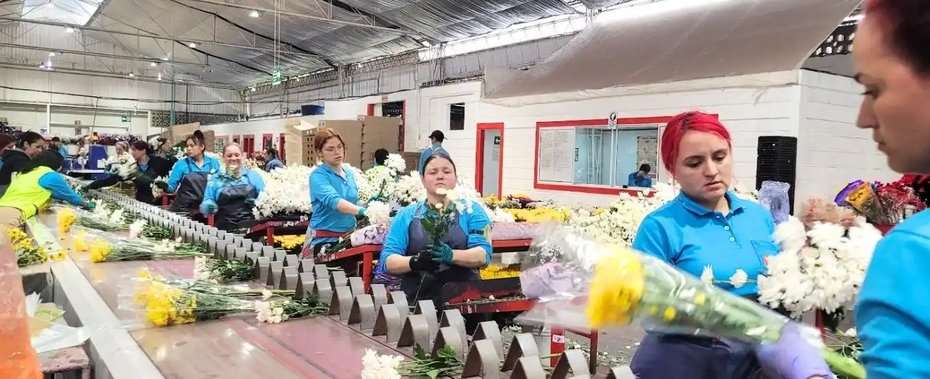 Tour Entre Flores La Ceja