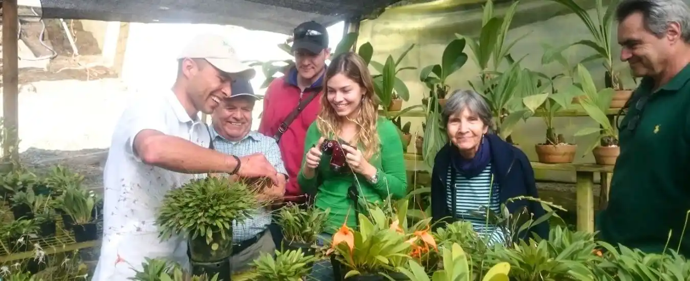 Tour de las Orquideas