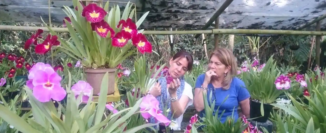 Tour de las Orquideas