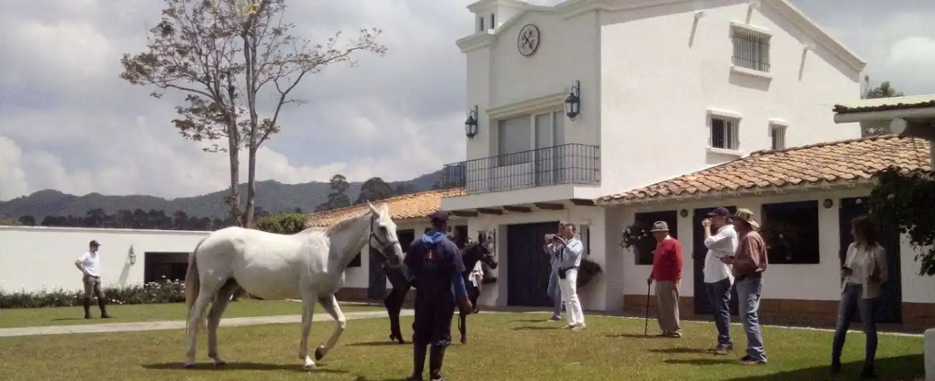 Tour Criadero de Caballos