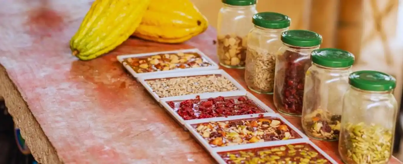 Tour a Cacao San Rafael