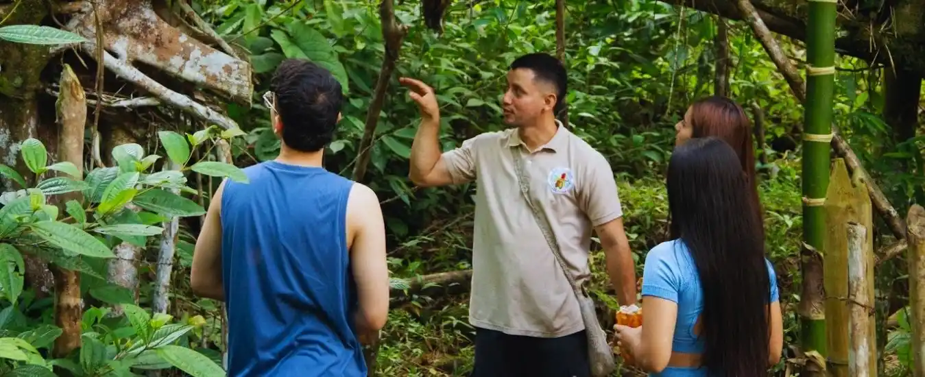 Tour a Cacao San Rafael