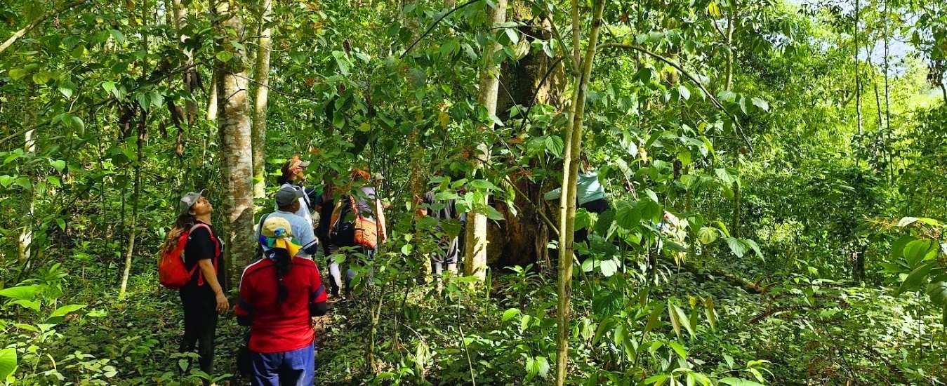 Turismo Indígena en Jardín