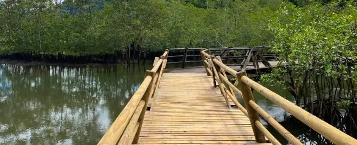 Viajes a Nuqui Colombia