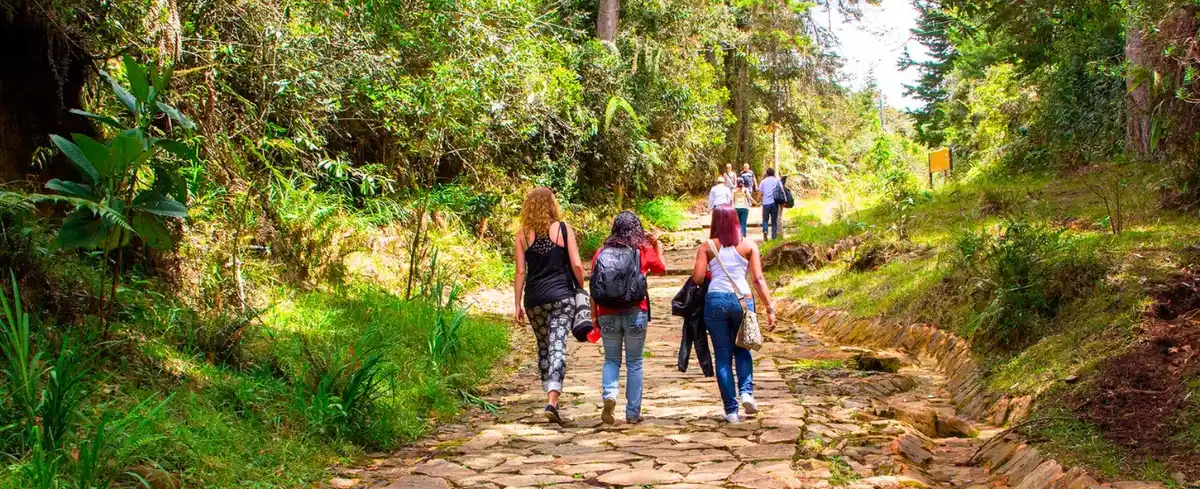 Tour a Medellin