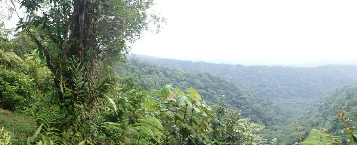 Tour a Medellin