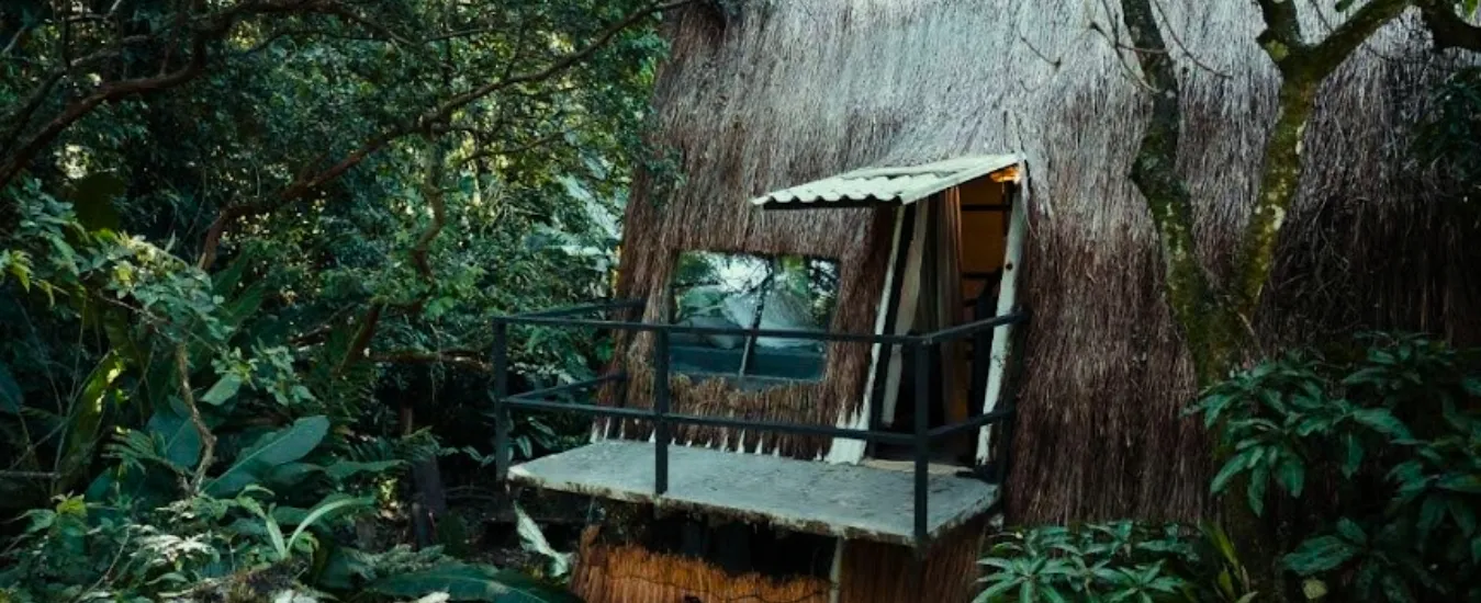 Cabañas y suites de Cerro Tusa Springs