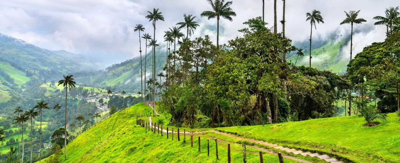 Excursión al Eje Cafetero desde Medellín