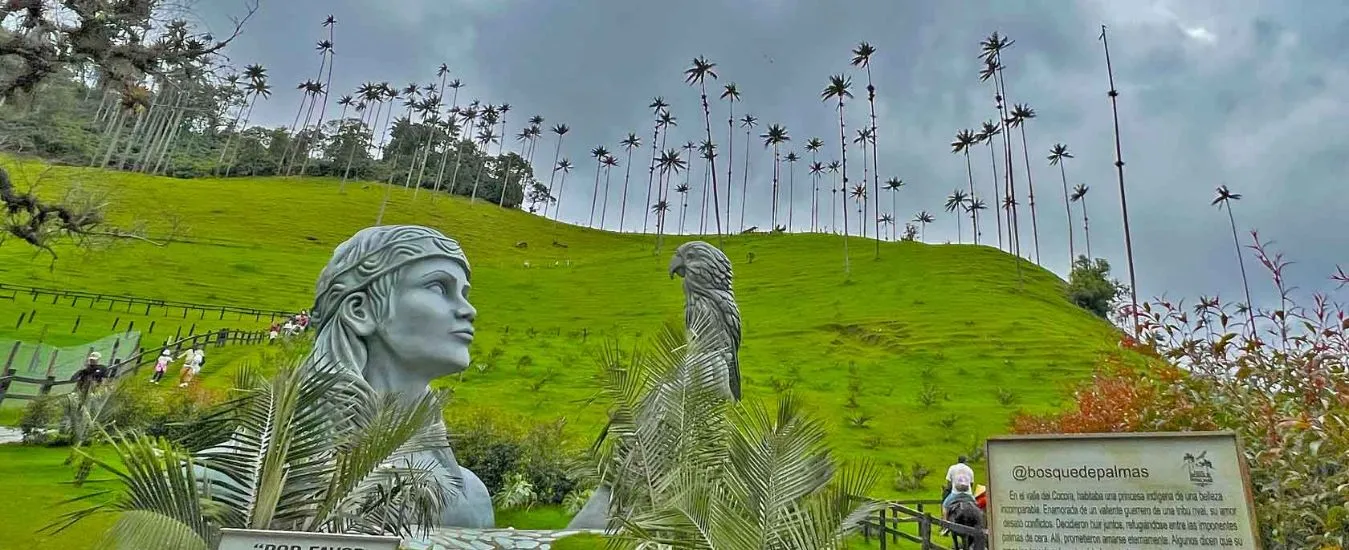 Salento y Valle del Cocora