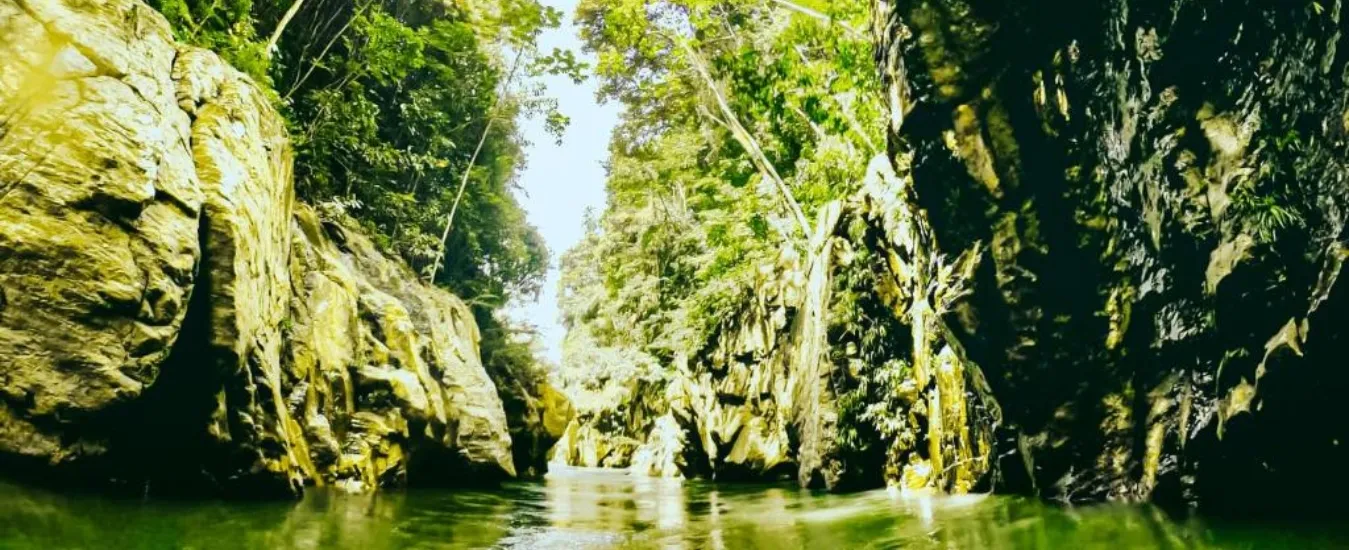 Naturaleza y selva en Refugio Monte Oscuro