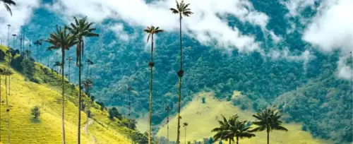 Excursión terrestre Eje Cafetero desde Medellín <br> 2026