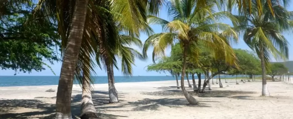 Imagen de Excursión Terrestre Tolú y Coveñas <br>desde Medellín  2026