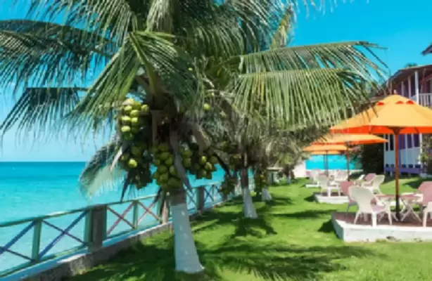 Imagen de Hotel Posada del Mar Providencia