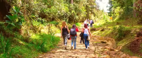 Imagen de Caminata y Senderismo en Parque Arví <br>Medellín