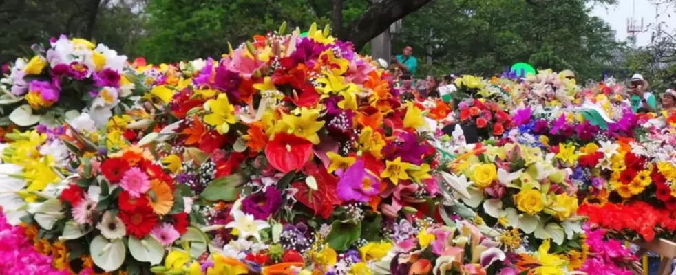Imagen de Planes Feria de las Flores 2025