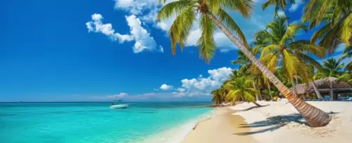 Viaje Punta Cana <br>desde Medellín