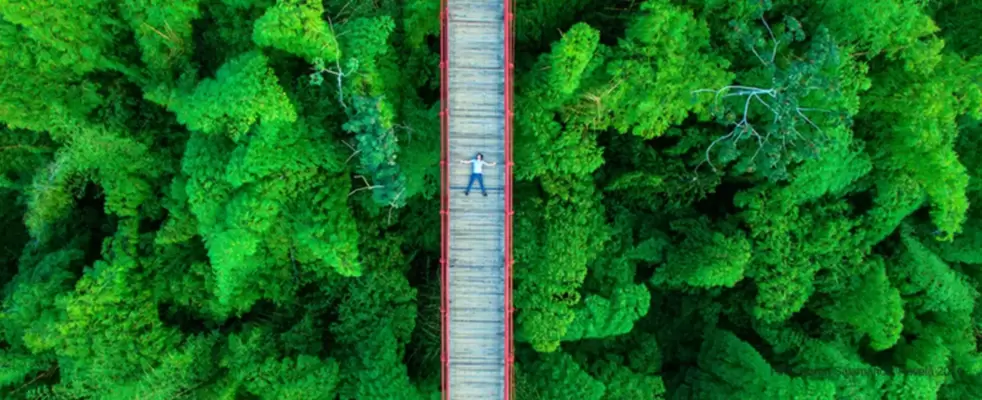 Imagen de Sostenibilidad Turística