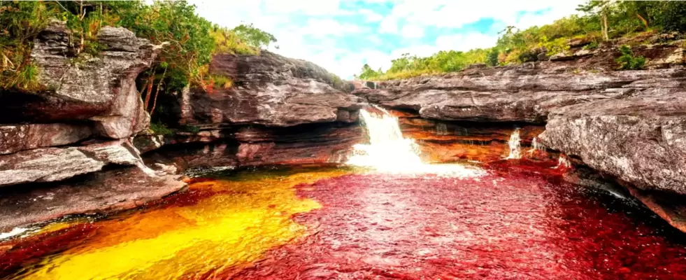 Caño Cristales desde Medellín 2024