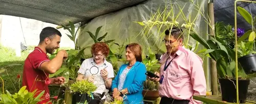 Imagen de Tour Alma del Bosque La Ceja <br>desde Medellín