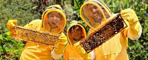 Imagen de Tour de las Abejas y la Miel en Jardín<br>desde Medellín - 2026