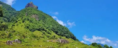 Imagen de Tour Arqueológico y de Petroglifos en Támesis<br>desde Medellín