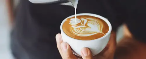 Taller Barista en La Manchuria: Aprende el Arte del Café