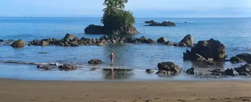 Plan avistamiento de ballenas hotel La Chocoana Nuqui - 2026