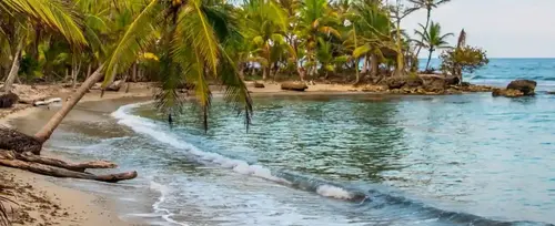 Plan con tiquete aéreo al Hospedaje Las Palmeras - Capurganá 2026