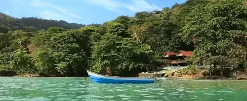 Plan terrestre al hospedaje Las Palmeras - Capurganá 2026