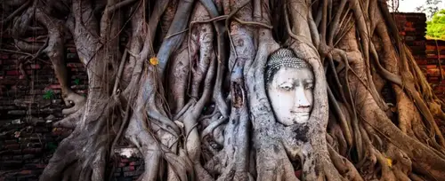 El corazón de Indochina Vietnam, Camboya y Bangkok